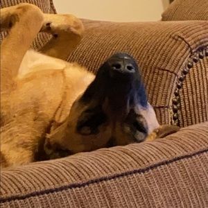 Meet your Posher, Marissa